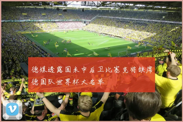 德媒透露国米中后卫比塞克将缺席德国队世界杯大名单